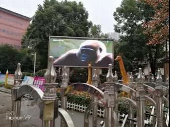 31_resize.jpg 31_resize.jpg