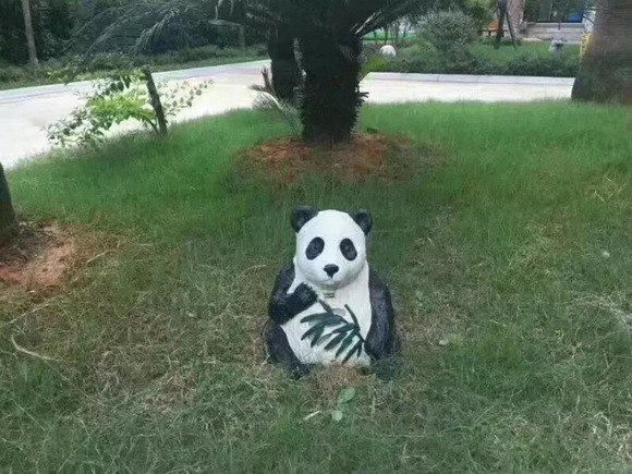 5_resize.jpg 5_resize.jpg