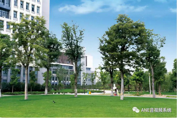 3_resize.jpg 3_resize.jpg